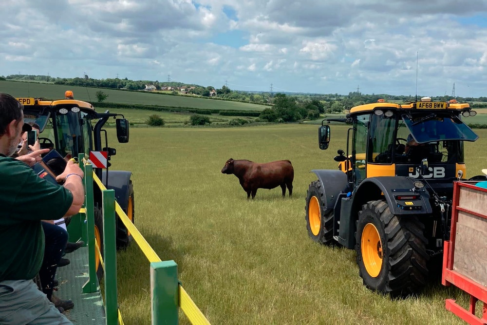 Field day Stonham Herd bull and tractor